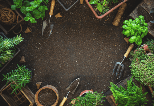 Kit essencial de ferramentas para jardinagem profissional