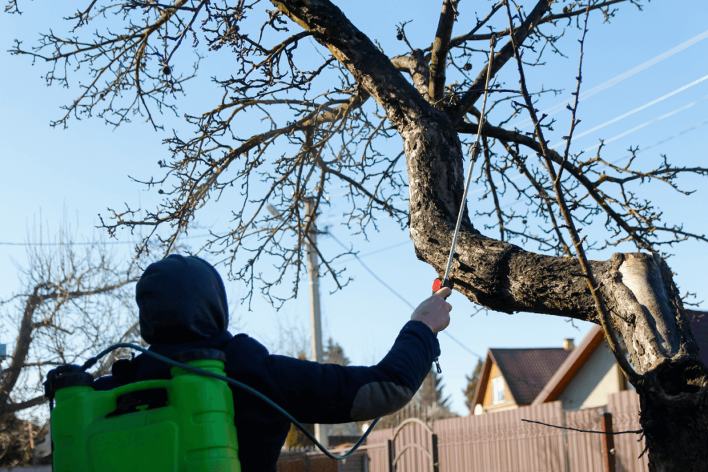 10 motivos para investir num pulverizador costal!