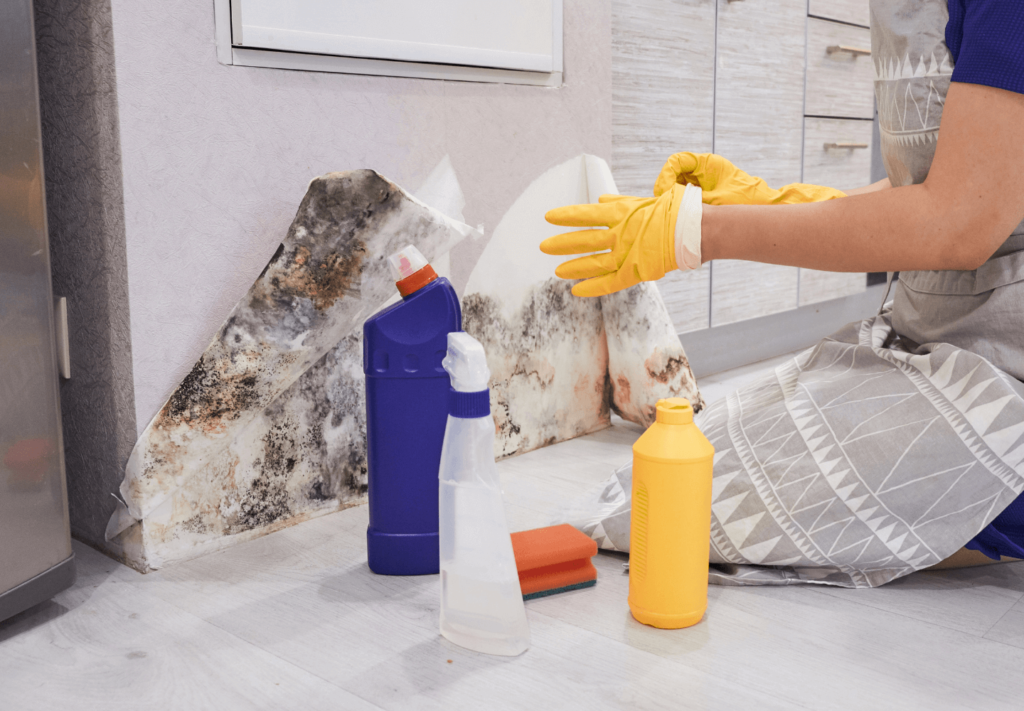 5 dicas para reformar parede com mofo e evitar problemas futuros