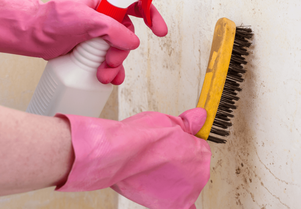 Produto para mofo na parede: dicas que funcionam