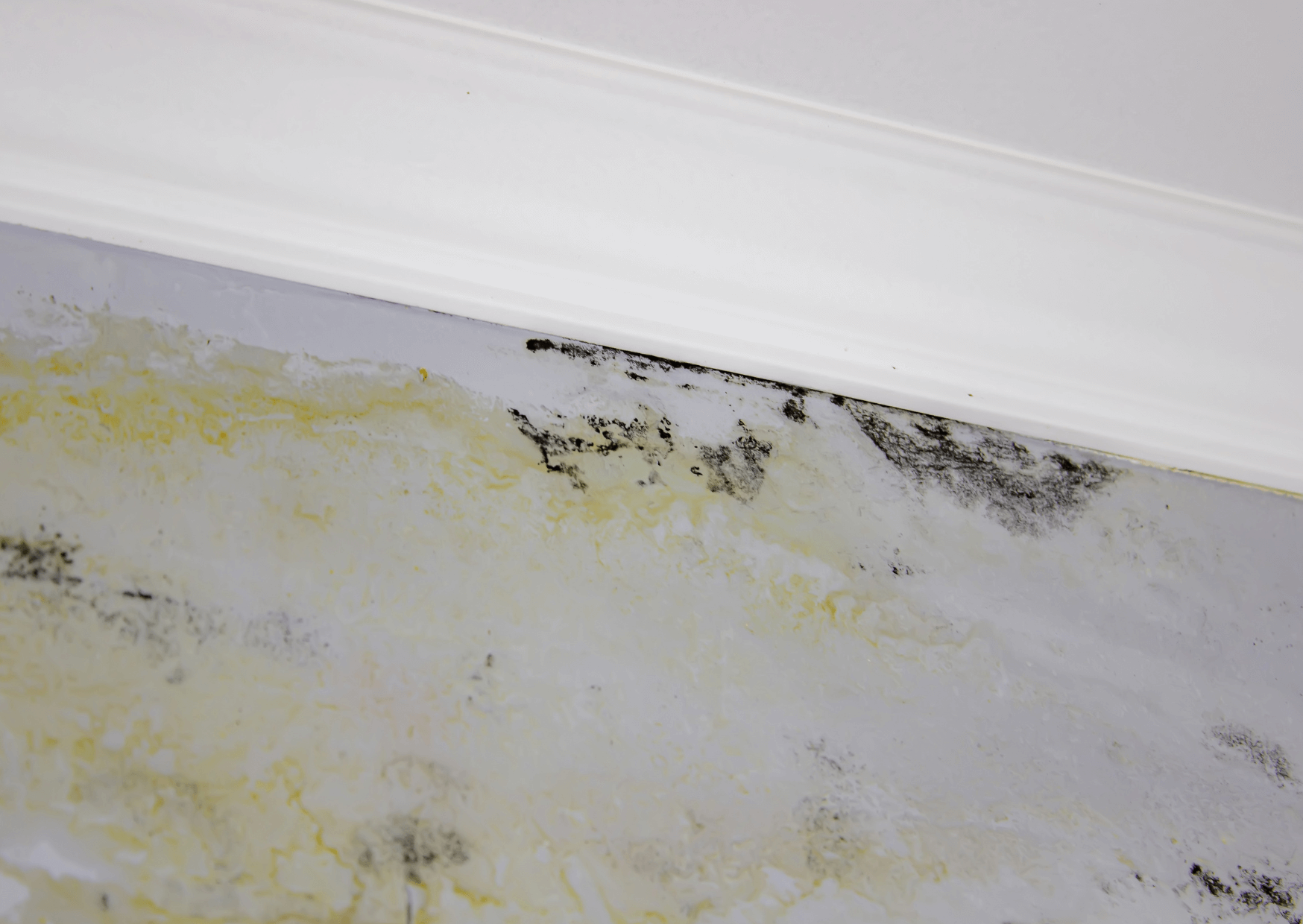 Veja como agir corretamente contra o mofo no teto de gesso para impedir que o problema se espalhe e comprometa áreas maiores.