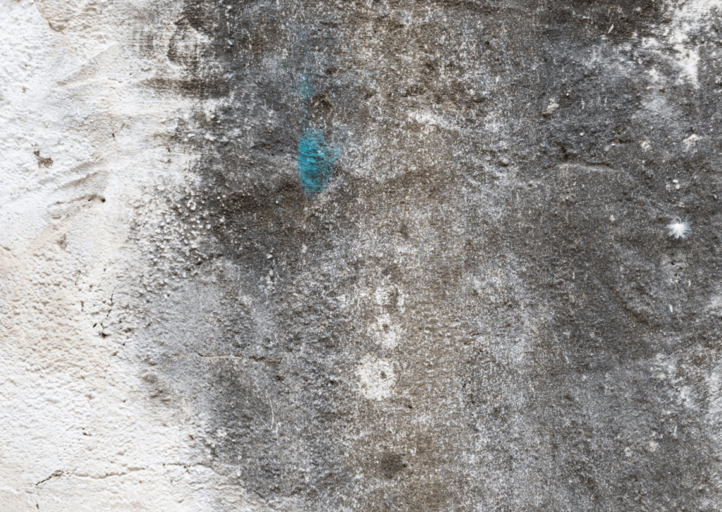 Veja nesse artigo a solução correta para um problema relativamente comum em ambientes internos de casas e apartamentos: o gesso mofado