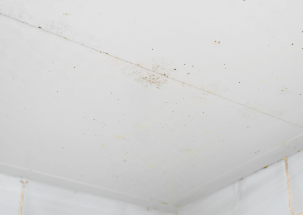 Veja como agir corretamente contra o mofo no teto de gesso para impedir que o problema se espalhe e comprometa áreas maiores.